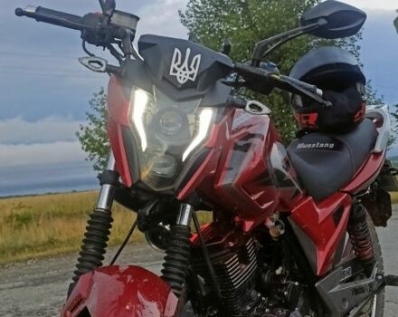 Мустанг Другая, объемом двигателя 0.2 л и пробегом 0 тыс. км за 1020 $, фото 3 на Automoto.ua