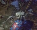 Мустанг Другая, объемом двигателя 0.11 л и пробегом 0 тыс. км за 10000 $, фото 1 на Automoto.ua