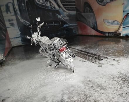 Мустанг Інша, об'ємом двигуна 0.13 л та пробігом 0 тис. км за 360 $, фото 6 на Automoto.ua