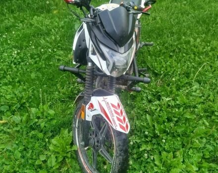 Мустанг Інша, об'ємом двигуна 0.2 л та пробігом 0 тис. км за 775 $, фото 4 на Automoto.ua