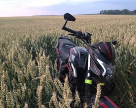 Мустанг Інша, об'ємом двигуна 0.2 л та пробігом 0 тис. км за 872 $, фото 4 на Automoto.ua