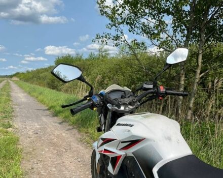 Мустанг Другая, объемом двигателя 0.2 л и пробегом 0 тыс. км за 400 $, фото 2 на Automoto.ua