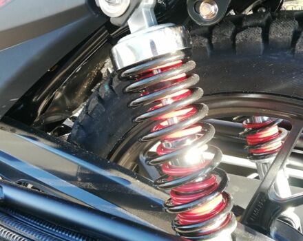 Мустанг Другая, объемом двигателя 0.25 л и пробегом 0 тыс. км за 1300 $, фото 14 на Automoto.ua