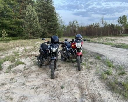 Мустанг Інша, об'ємом двигуна 0.2 л та пробігом 0 тис. км за 843 $, фото 6 на Automoto.ua