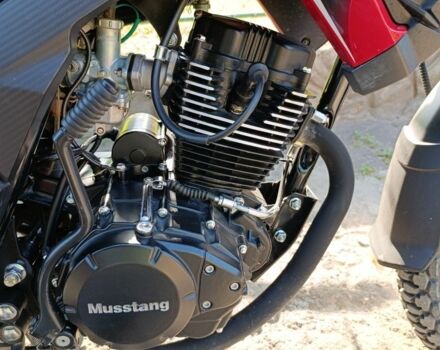 Мустанг Другая, объемом двигателя 0.2 л и пробегом 0 тыс. км за 850 $, фото 4 на Automoto.ua