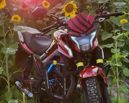 Мустанг Другая, объемом двигателя 0.2 л и пробегом 0 тыс. км за 1000 $, фото 4 на Automoto.ua