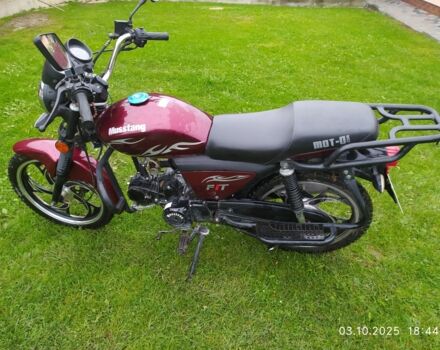 Мустанг Другая, объемом двигателя 0.13 л и пробегом 0 тыс. км за 552 $, фото 1 на Automoto.ua