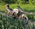 Мустанг Інша, об'ємом двигуна 0.2 л та пробігом 0 тис. км за 848 $, фото 2 на Automoto.ua
