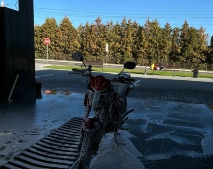 Мустанг Другая, объемом двигателя 0.2 л и пробегом 0 тыс. км за 888 $, фото 4 на Automoto.ua