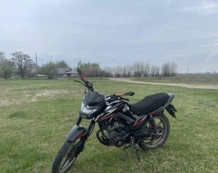 Мустанг Інша, об'ємом двигуна 0.2 л та пробігом 0 тис. км за 843 $, фото 2 на Automoto.ua