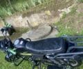 Мустанг Другая, объемом двигателя 0.13 л и пробегом 0 тыс. км за 352 $, фото 1 на Automoto.ua