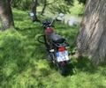 Мустанг Інша, об'ємом двигуна 0.13 л та пробігом 0 тис. км за 486 $, фото 2 на Automoto.ua