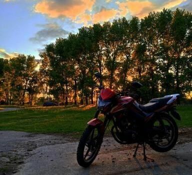 Мустанг Інша, об'ємом двигуна 0.2 л та пробігом 0 тис. км за 775 $, фото 4 на Automoto.ua