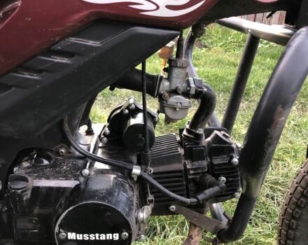 Мустанг Другая, объемом двигателя 0.13 л и пробегом 0 тыс. км за 515 $, фото 5 на Automoto.ua