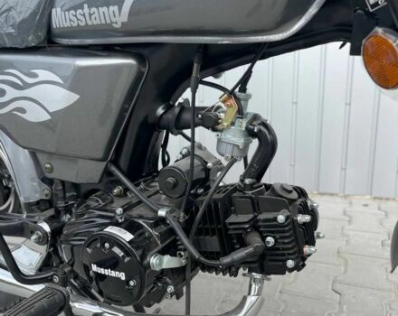 Мустанг Другая, объемом двигателя 0.13 л и пробегом 0 тыс. км за 700 $, фото 7 на Automoto.ua