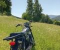 Мустанг Інша, об'ємом двигуна 0.13 л та пробігом 0 тис. км за 291 $, фото 1 на Automoto.ua