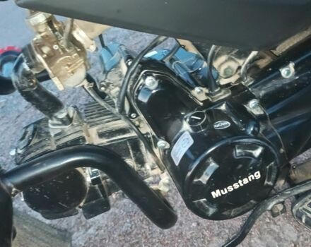 Мустанг Другая 2024 в Коростене на Automoto.ua Мустанг Другая, объемом двигателя 0.12 л и пробегом 0 тыс. км за 606 $, фото 2 на Automoto.ua