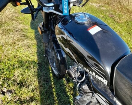 Мустанг Другая 2024 в Сарнах на Automoto.ua Мустанг Другая, объемом двигателя 0.13 л и пробегом 0 тыс. км за 500 $, фото 3 на Automoto.ua