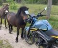 Мустанг Другая, объемом двигателя 0.2 л и пробегом 0 тыс. км за 991 $, фото 1 на Automoto.ua