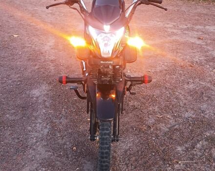 Мустанг Другая 2024 в Коростене на Automoto.ua Мустанг Другая, объемом двигателя 0.12 л и пробегом 0 тыс. км за 606 $, фото 5 на Automoto.ua