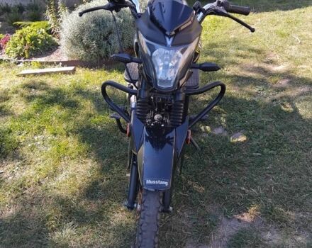 Мустанг Другая, объемом двигателя 0.12 л и пробегом 0 тыс. км за 381 $, фото 2 на Automoto.ua