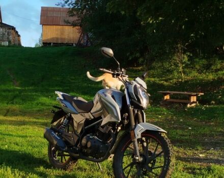 Мустанг Другая, объемом двигателя 0.2 л и пробегом 0 тыс. км за 950 $, фото 3 на Automoto.ua