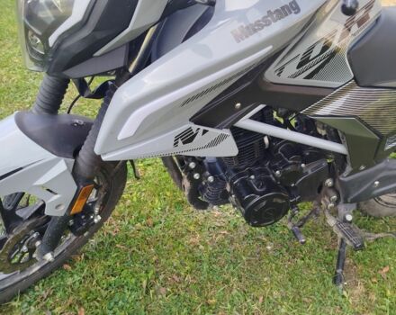 Мустанг Другая, объемом двигателя 0.25 л и пробегом 0 тыс. км за 1200 $, фото 6 на Automoto.ua