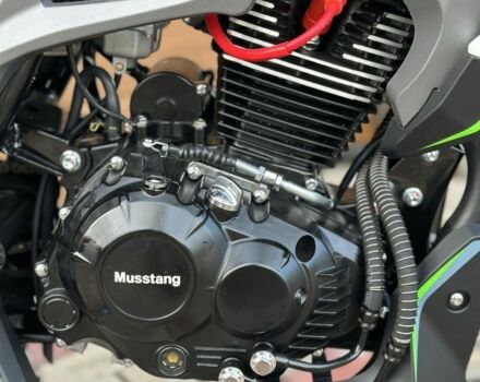 Мустанг Інша, об'ємом двигуна 0.2 л та пробігом 0 тис. км за 1280 $, фото 14 на Automoto.ua