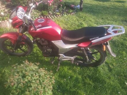 Мустанг Другая, объемом двигателя 6 л и пробегом 0 тыс. км за 750 $, фото 1 на Automoto.ua