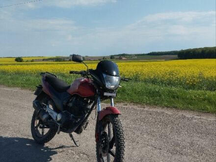 Мустанг Інша 2014 у Подгайцах на Automoto.ua Мустанг Інша, об'ємом двигуна 0.2 л та пробігом 0 тис. км за 750 $, фото 1 на Automoto.ua
