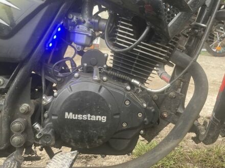 Мустанг Другая 2021 в Ровно на Automoto.ua Мустанг Другая, объемом двигателя 0.15 л и пробегом 0 тыс. км за 606 $, фото 1 на Automoto.ua