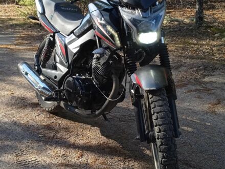 Мустанг Інша 2021 у Коростене на Automoto.ua Мустанг Інша, об'ємом двигуна 0.2 л та пробігом 0 тис. км за 716 $, фото 1 на Automoto.ua