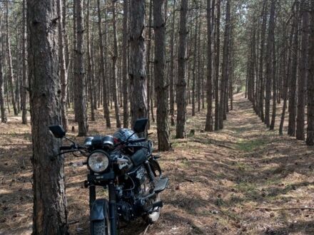 Мустанг Другая, объемом двигателя 0.12 л и пробегом 0 тыс. км за 475 $, фото 1 на Automoto.ua