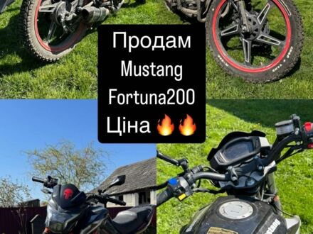 Мустанг Другая 2023 в Черткове на Automoto.ua Мустанг Другая, объемом двигателя 0.2 л и пробегом 0 тыс. км за 700 $, фото 1 на Automoto.ua