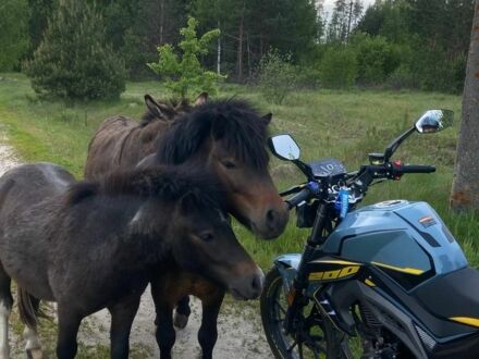 Мустанг Інша, об'ємом двигуна 0.2 л та пробігом 0 тис. км за 996 $, фото 1 на Automoto.ua