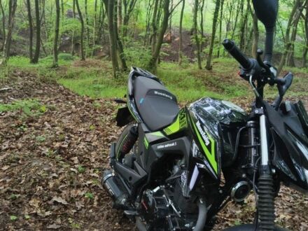 Мустанг Другая 2024 в Ивано-Франковске на Automoto.ua Мустанг Другая, объемом двигателя 0.25 л и пробегом 0 тыс. км за 1200 $, фото 1 на Automoto.ua