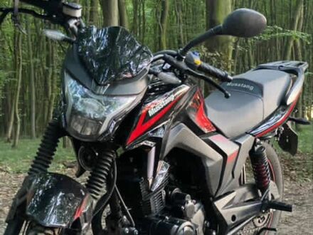 Мустанг Інша 2024 у Івано-Франківську на Automoto.ua Мустанг Інша, об'ємом двигуна 0.25 л та пробігом 0 тис. км за 1119 $, фото 1 на Automoto.ua