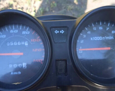Мустанг МТ125 (Dingo), об'ємом двигуна 0 л та пробігом 6 тис. км за 455 $, фото 5 на Automoto.ua