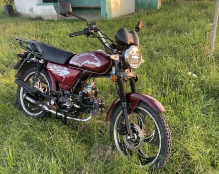 Мустанг MT 125-2, объемом двигателя 0.13 л и пробегом 0 тыс. км за 520 $, фото 3 на Automoto.ua