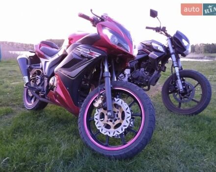 Мустанг MT 200-10, объемом двигателя 0.2 л и пробегом 7 тыс. км за 1000 $, фото 7 на Automoto.ua