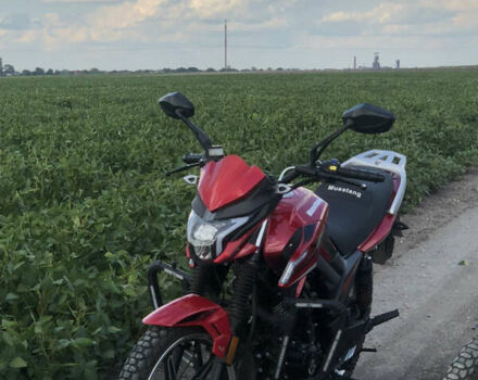 Красный Мустанг MT 200 Region, объемом двигателя 0.2 л и пробегом 7 тыс. км за 1000 $, фото 14 на Automoto.ua