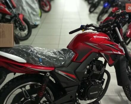 купить новое авто Мустанг MT 200 Region 2024 года от официального дилера MotoHub Мустанг фото