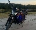 Черный Мустанг MT 250 Region, объемом двигателя 0.25 л и пробегом 4 тыс. км за 1100 $, фото 3 на Automoto.ua