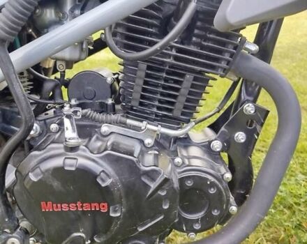 Мустанг MT 250 Region, объемом двигателя 0 л и пробегом 2 тыс. км за 1150 $, фото 8 на Automoto.ua