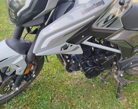 Мустанг MT 250 Region, объемом двигателя 0 л и пробегом 2 тыс. км за 1150 $, фото 6 на Automoto.ua