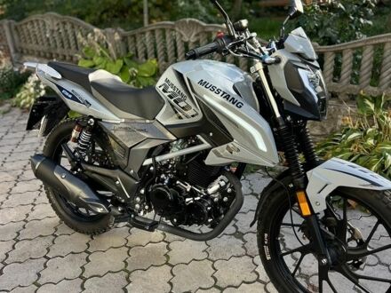 Мустанг Region MT 250-9R, об'ємом двигуна 0.25 л та пробігом 1 тис. км за 1000 $, фото 1 на Automoto.ua
