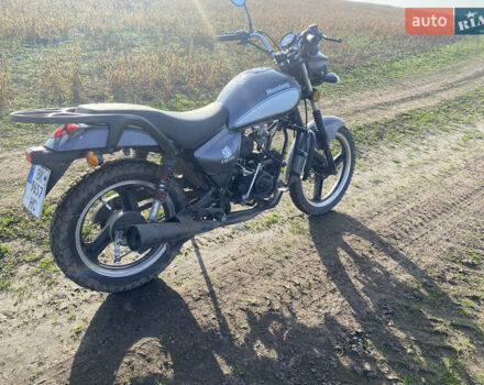 Серый Мустанг Viking, объемом двигателя 0 л и пробегом 8 тыс. км за 593 $, фото 3 на Automoto.ua