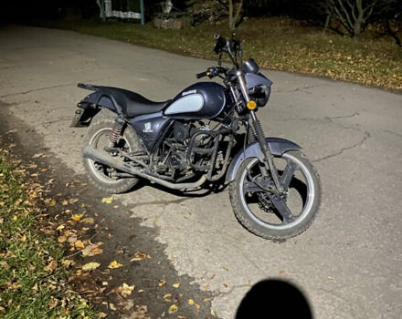 Серый Мустанг Viking, объемом двигателя 0 л и пробегом 8 тыс. км за 593 $, фото 12 на Automoto.ua