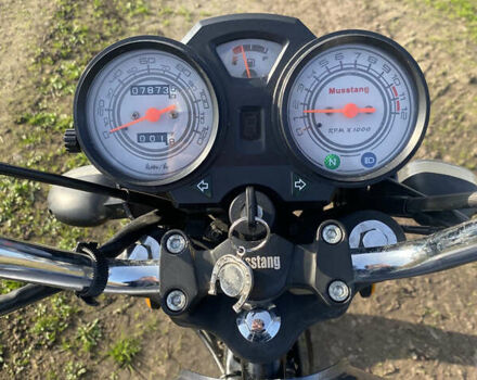 Серый Мустанг Viking, объемом двигателя 0 л и пробегом 8 тыс. км за 593 $, фото 8 на Automoto.ua