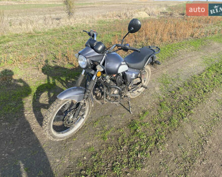 Серый Мустанг Viking, объемом двигателя 0 л и пробегом 8 тыс. км за 593 $, фото 6 на Automoto.ua